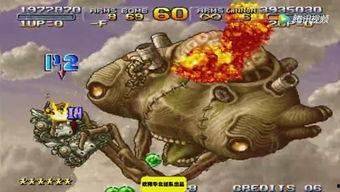 八卦大驴爆料视频播放,揭秘视频播放背后的秘密