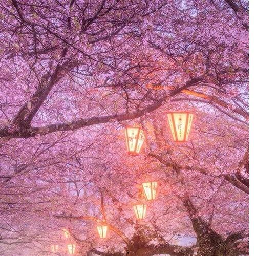 拖鞋妹在线观看 下载,在线观看与下载，轻松畅享欢乐时光  第3张