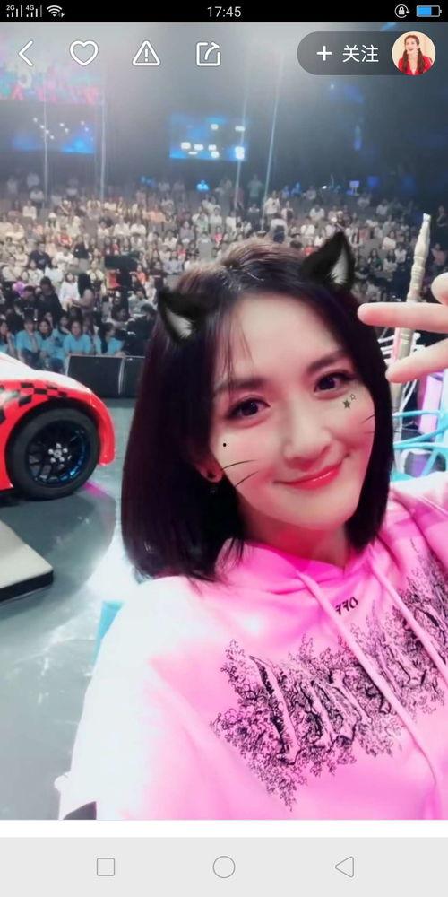 杨琳最新爆料视频播放下载,揭秘幕后真相，下载观看解析  第2张